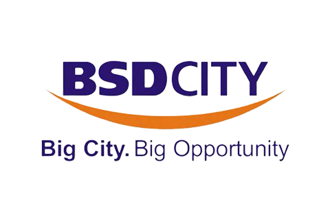 BSD City